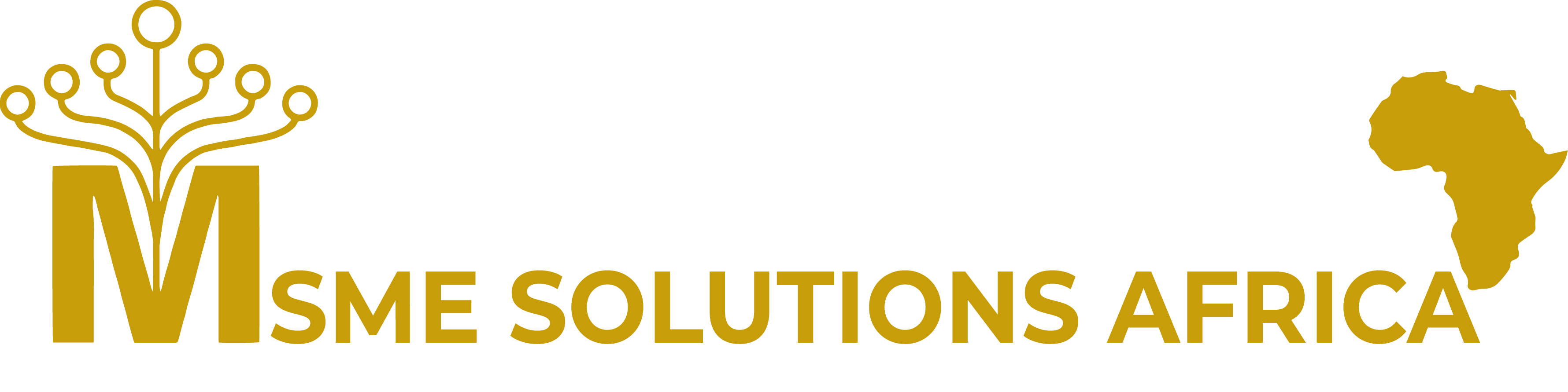 MSME Solutions Africa Logo